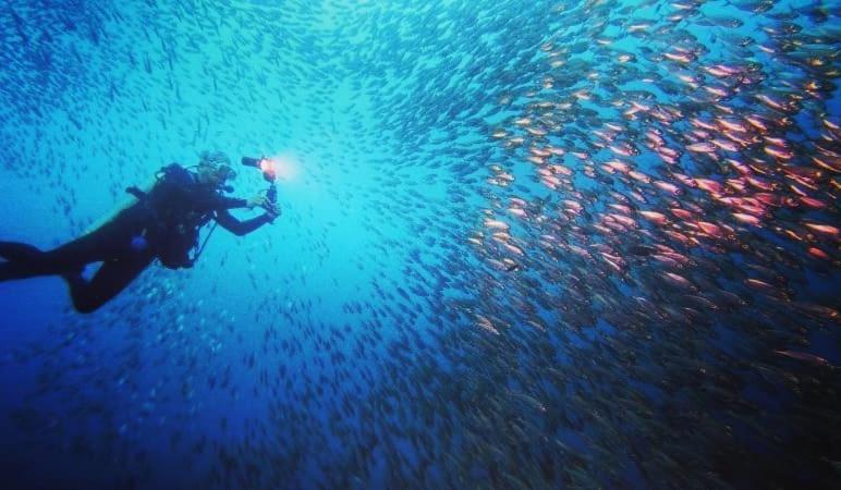 Love'S Beach & Dive Resort Moalboal Luaran gambar